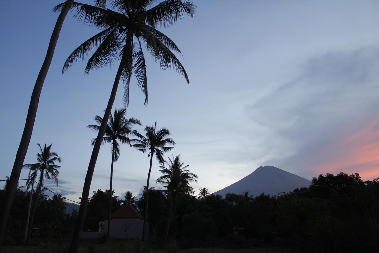 Bunga Laut Bungalow Amed  Bagian luar foto